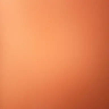 Profile image of 페인트볼러