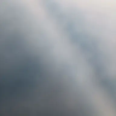 Profile image of 볼러