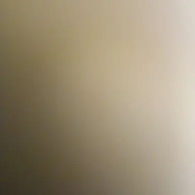 Profile image of 뉴비