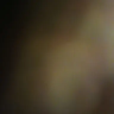 Profile image of 빌더