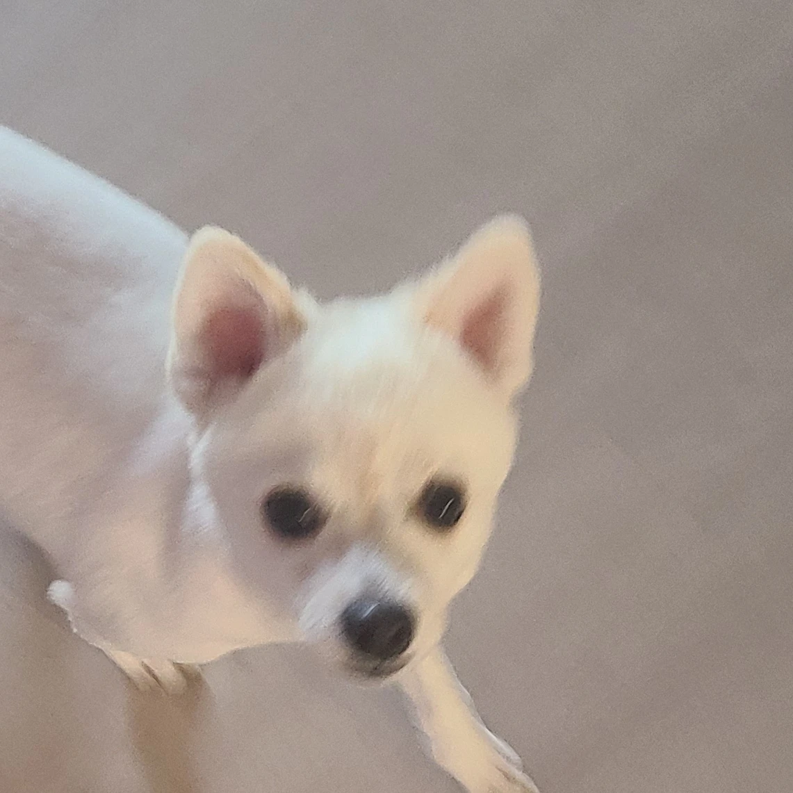 남자애들