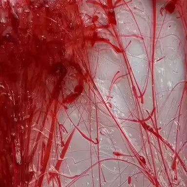 Profile image of 아르민