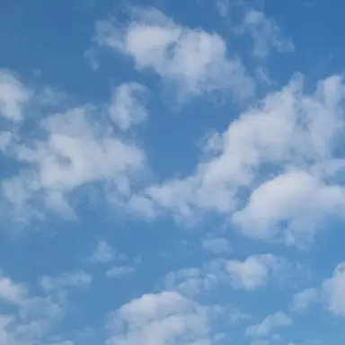 Profile image of 클라우디