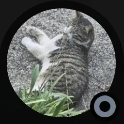 Profile image of 에리카