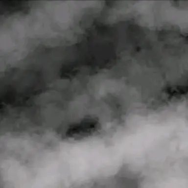 Profile image of 코마