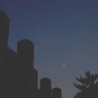 M.a_1y.xo의 정공룡