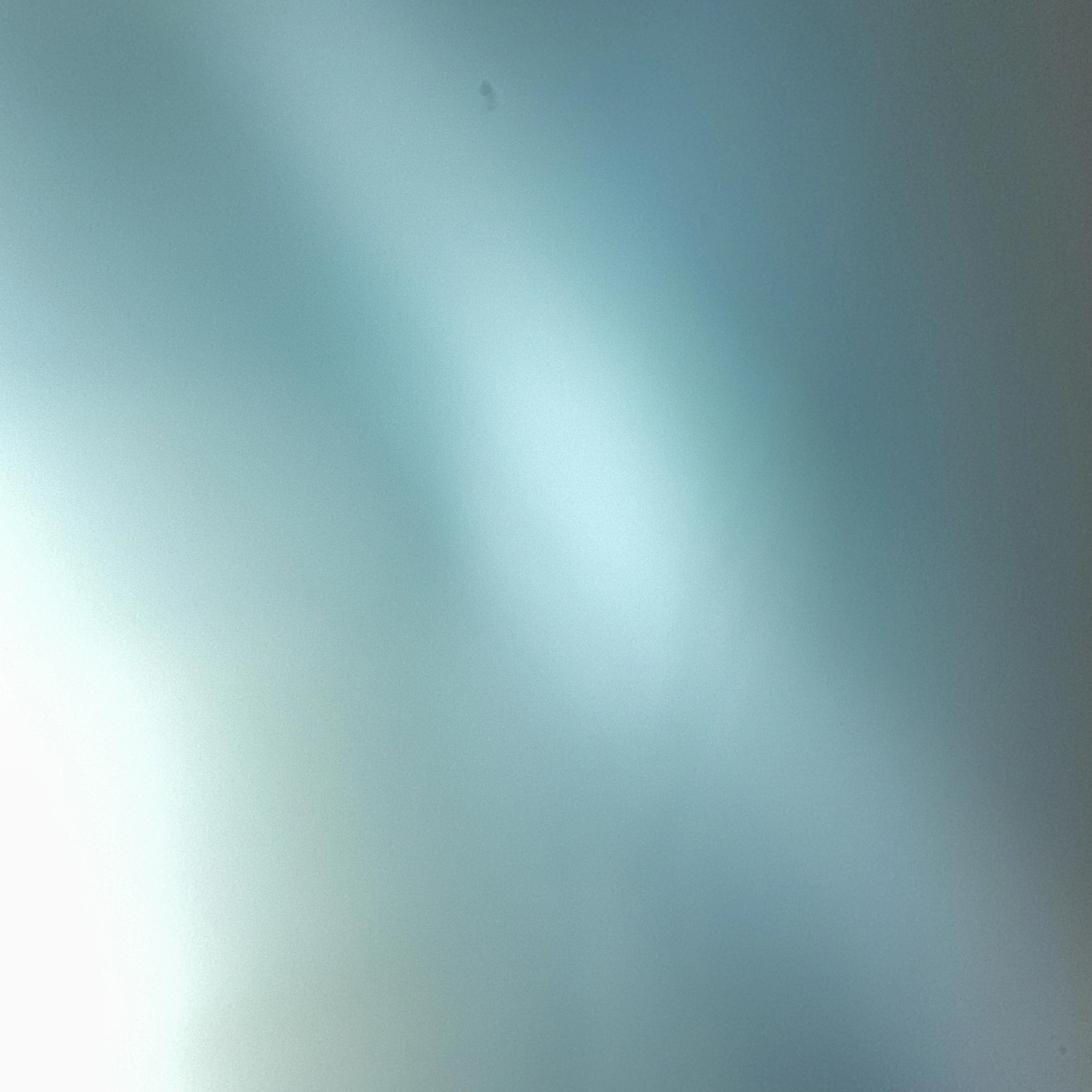 정우