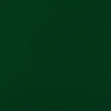 Profile image of イルミ