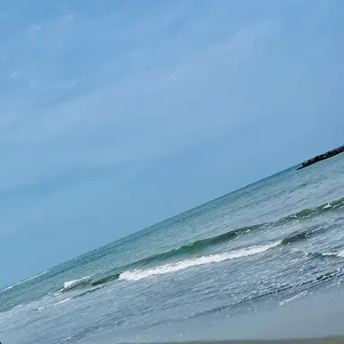 Profile image of 燈矢