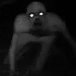 SoftStudy2986의 The Rake