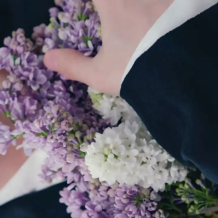 TamestHerb6835의 君を守る為の嘘 。