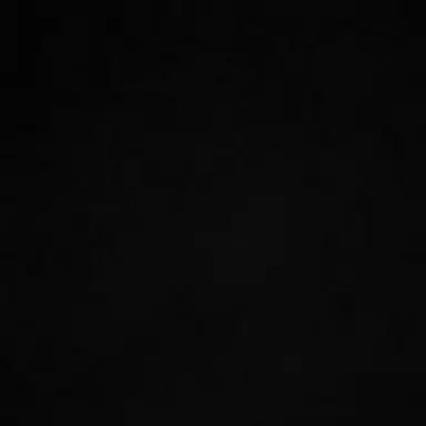 Profile image of 수연