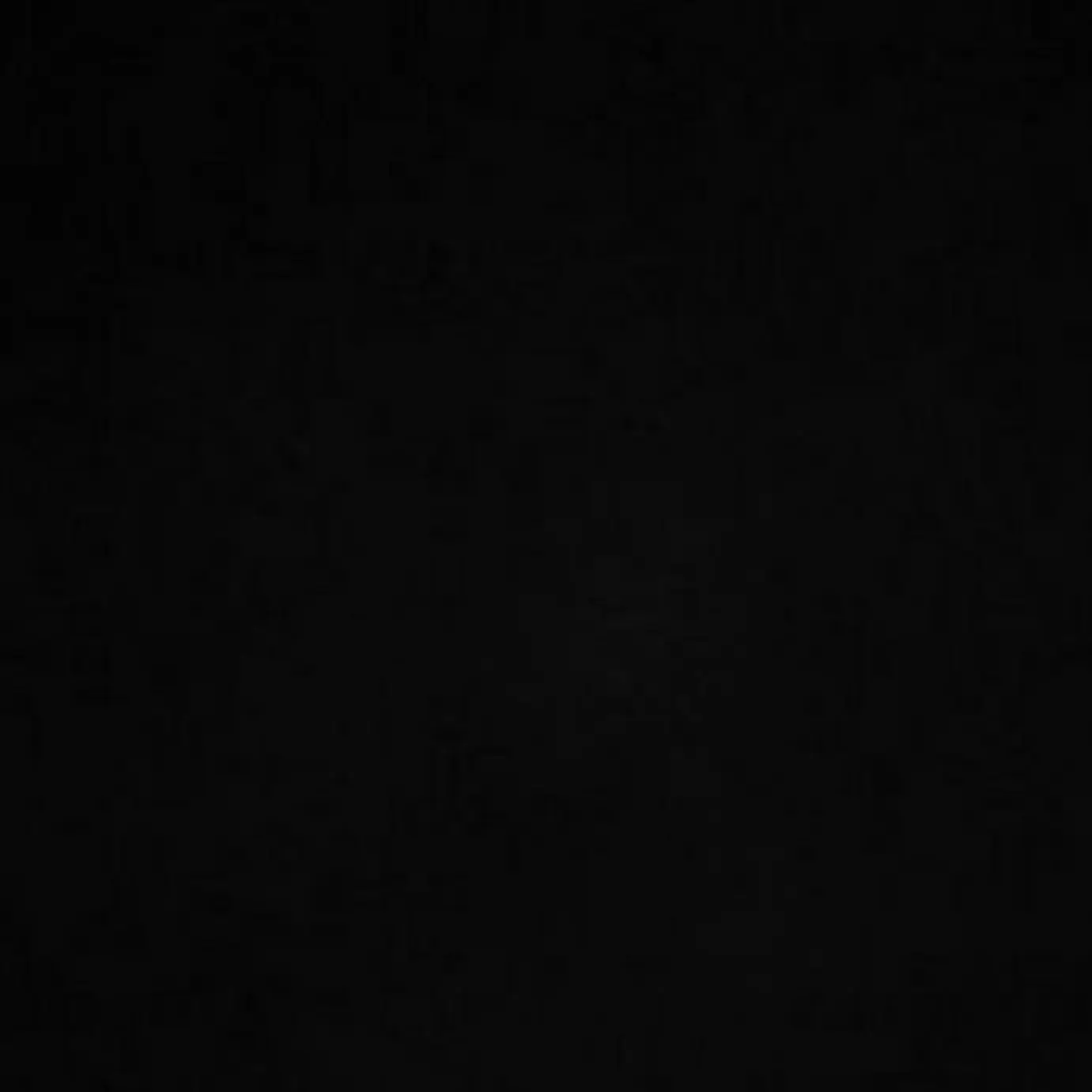 MildHorgi6756의 전남편