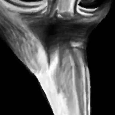 Profile image of 049