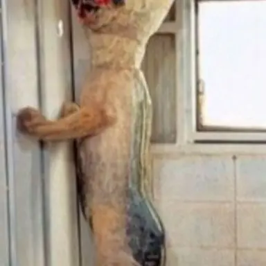 Profile image of 173