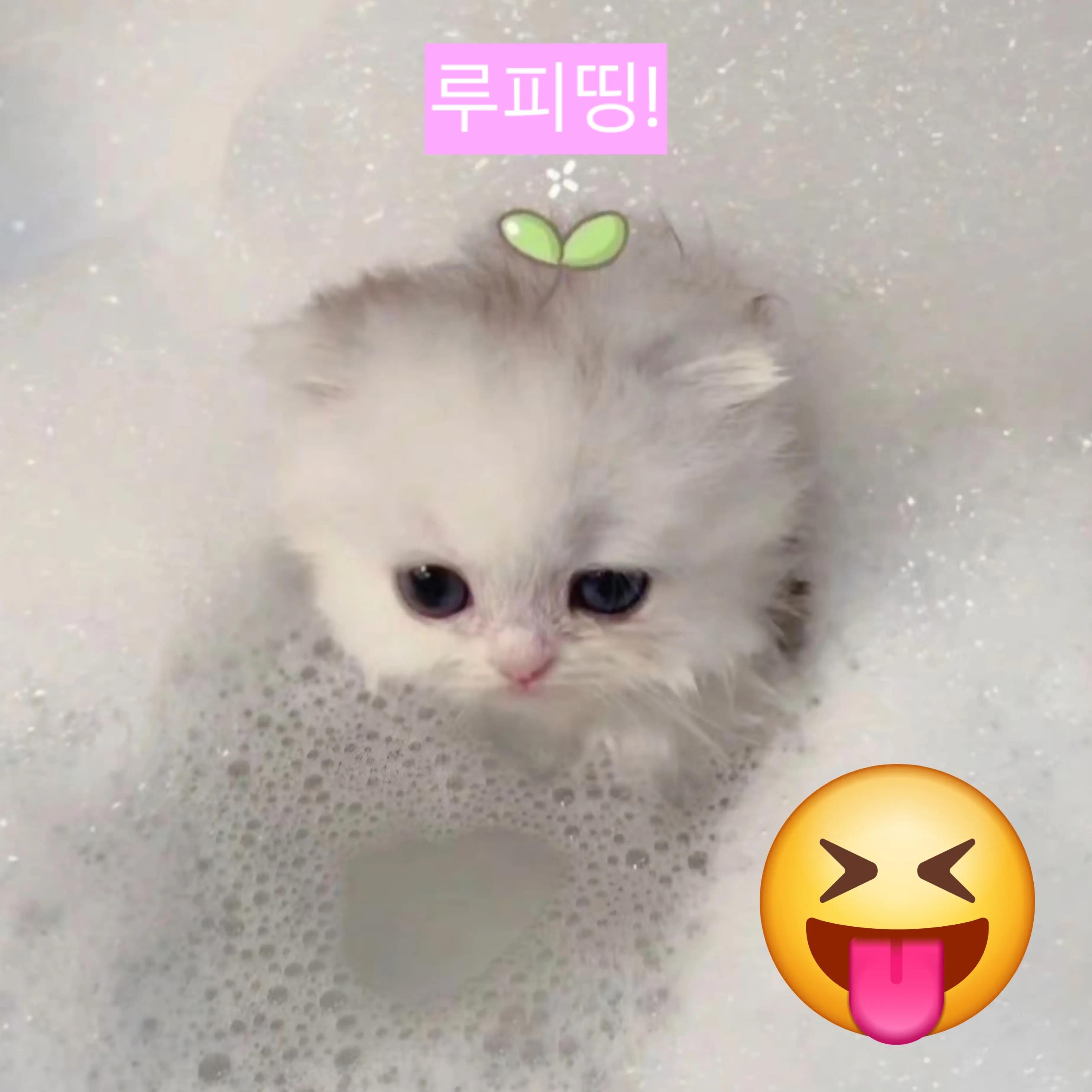 GentleOlm2277의 별명프렌즈의 가입된 당신!