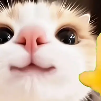 Profile image of 여우