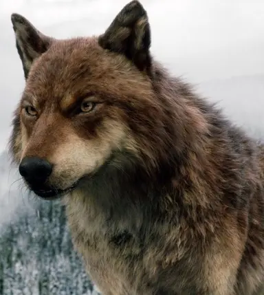 Profile image of Jacob