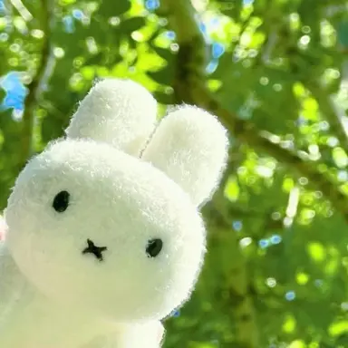 Profile image of 김치