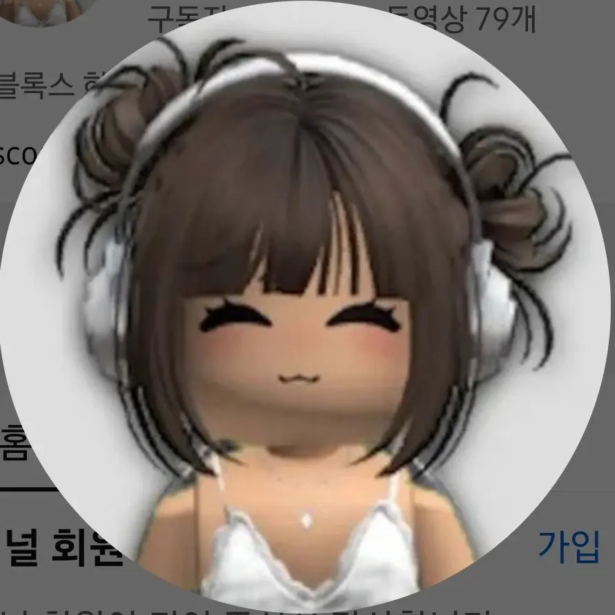 SadSkier5273의 로블록스 고백