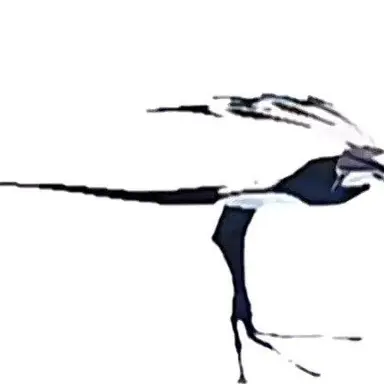 Profile image of 여우
