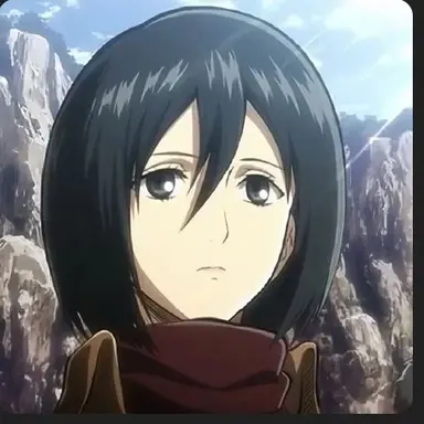 Profile image of 미카사