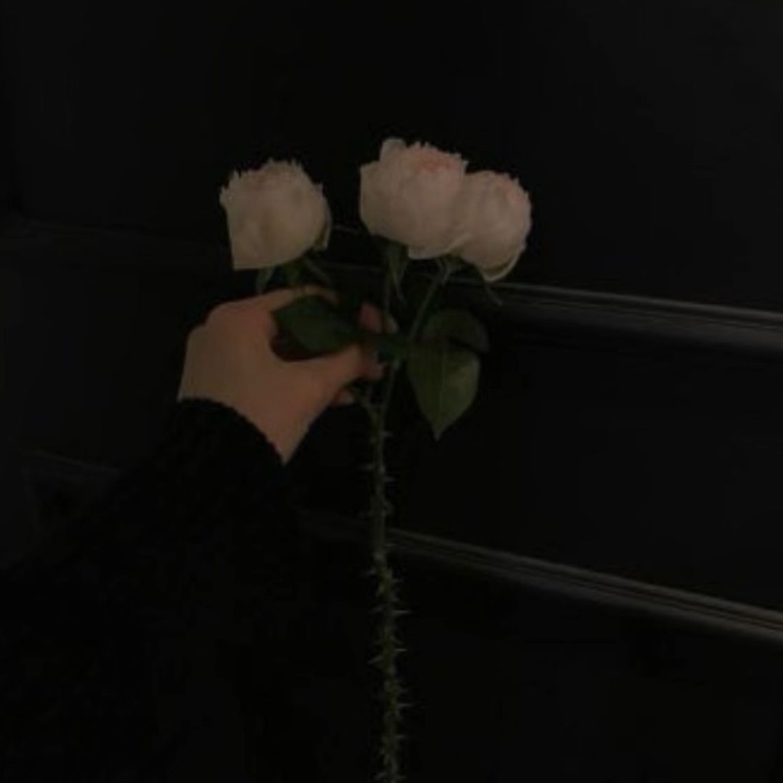 0423 대표 이미지