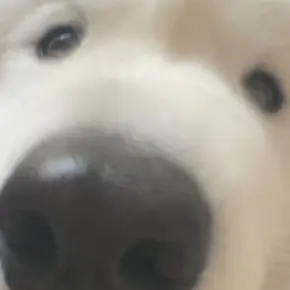 Profile image of 예린대리님