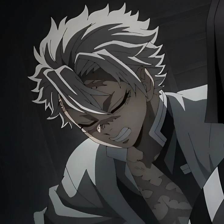 시나즈가와 사네미