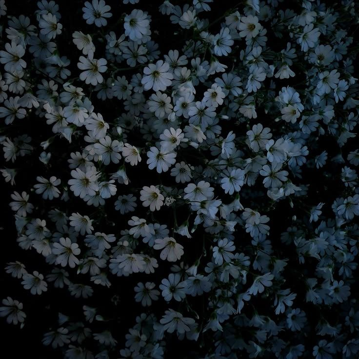 𝑲𝑨𝑰𝑲𝑶 × 𝑨𝑻𝑶 대표 이미지