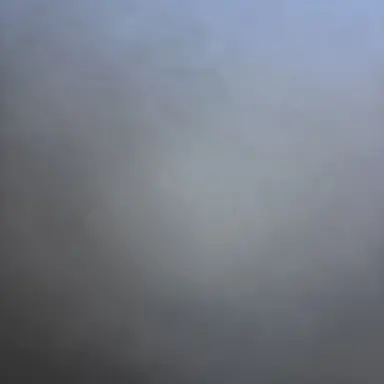 Profile image of 오시온