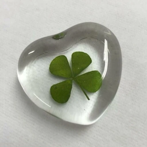 짝사랑 고민 상담소🍀
