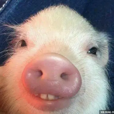Profile image of イ・ジョンウ