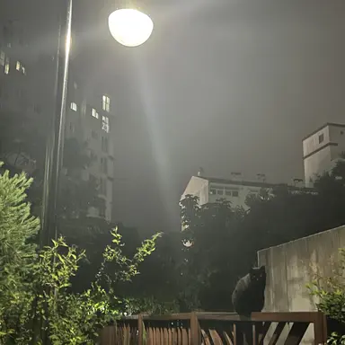 Profile image of 김채영