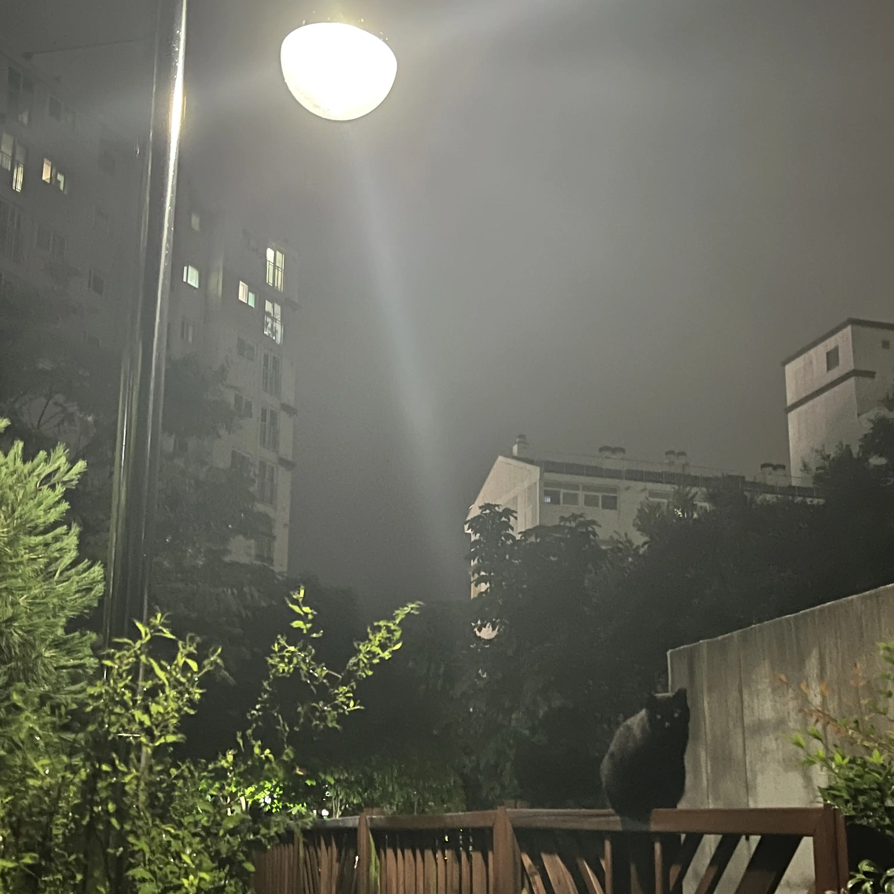 FarPlay4073의 김채영