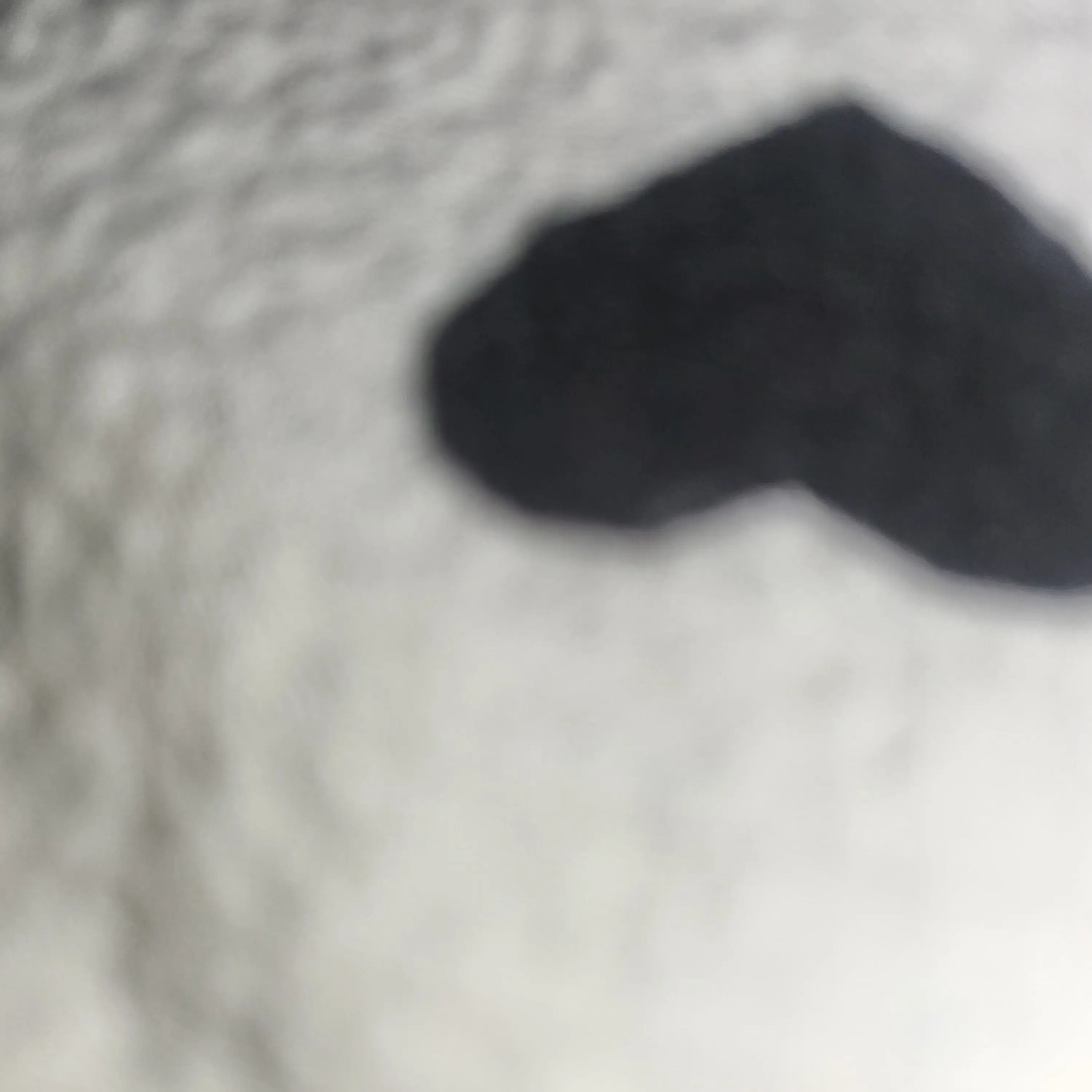 ChewyFly9208의 돌들의 침묵! (투어스 편)