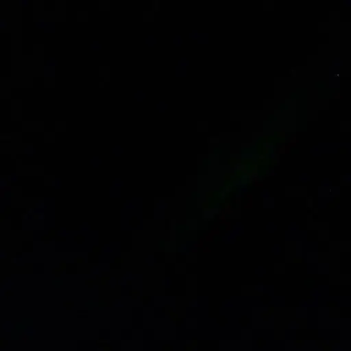 SAWP의 신고❌️❌️