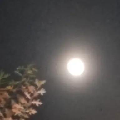 Profile image of 일찐