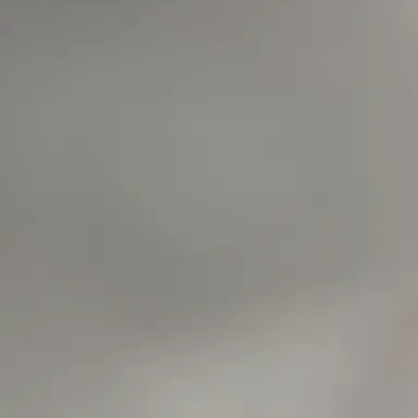 Profile image of W