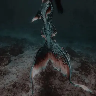 Profile image of Cordelia