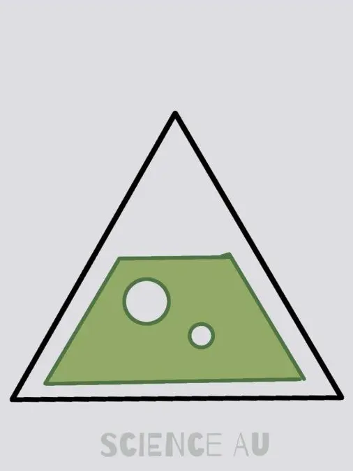 SoftStove5773의 Fpe 사이언스 AU