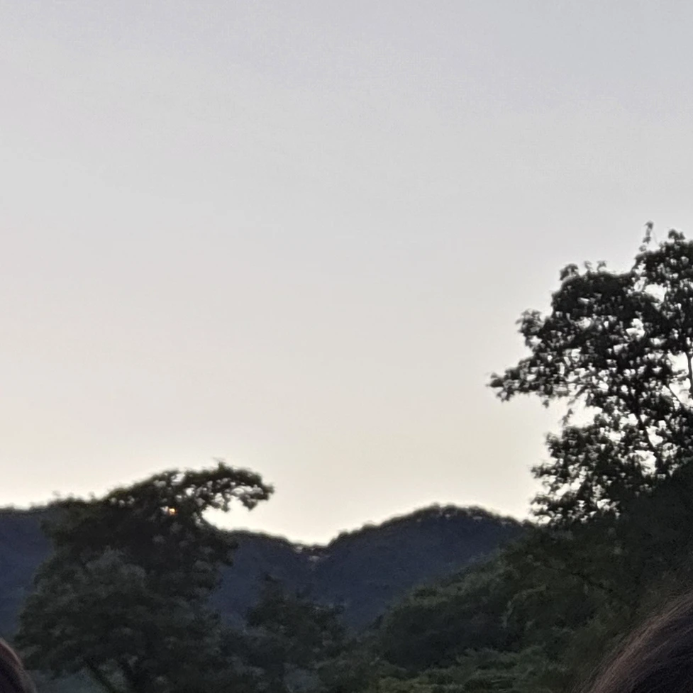 그들과 나