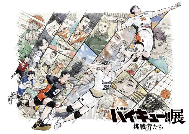 Profile image of ハイキュー