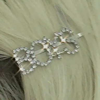 Profile image of Cassie