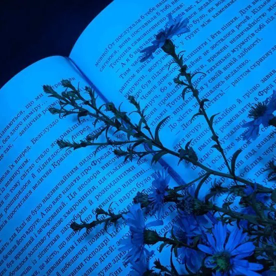 stayr의 나의 오랜 벗에게.