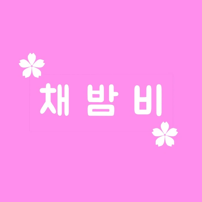 채밤비