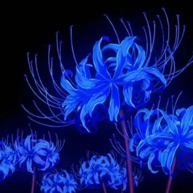 Profile image of 키부츠지 무잔