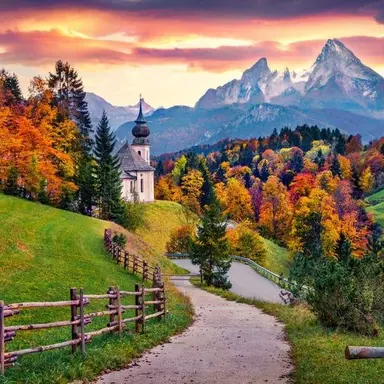 Profile image of 여우