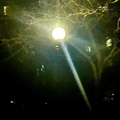 Profile image of 유저