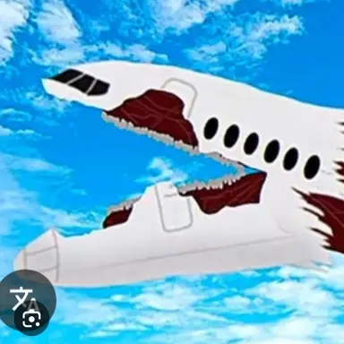 Profile image of C-5